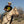 2Rank Buckin Horse Brand Tee Shirt